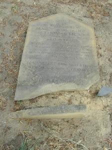 Thomas W Mead